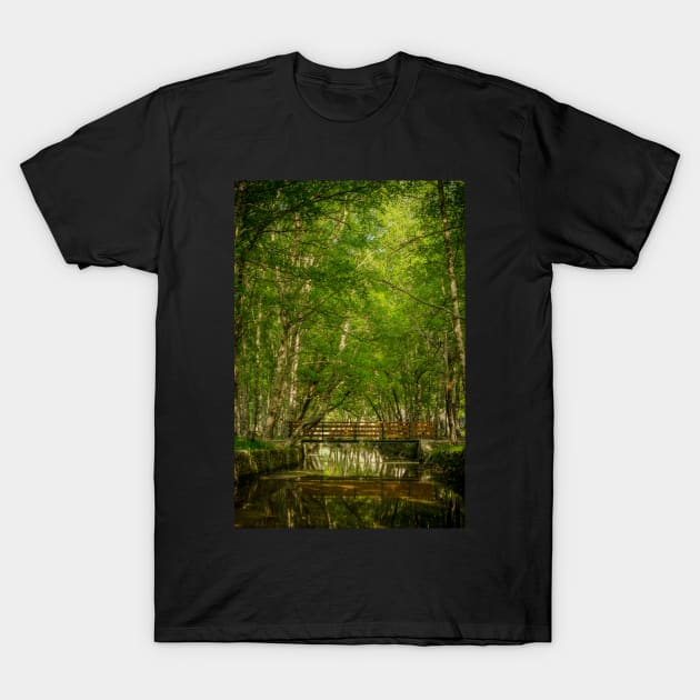 Park Natural serra Estrela - Portugal T-Shirt by homydesign